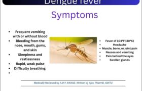 Dengue Fever