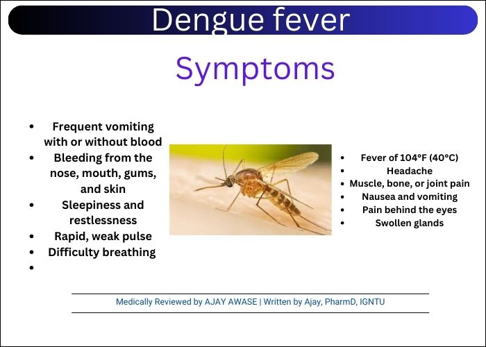 Dengue Fever