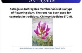 Astragalus